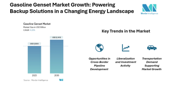 Gasoline Genset Market Growth at 4.23% CAGR to 2030 Fueled by Construction and Emergency Power Needs