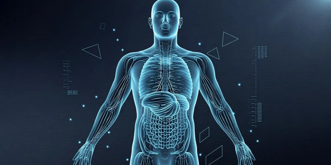 $61.97 Billion by 2029 — How AI-Powered Reconstruction and Spatial Computing Are Transforming Visual Intelligence
